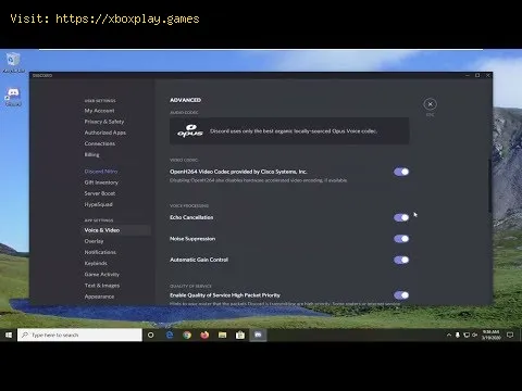 Video preview