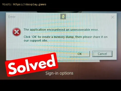 Video preview