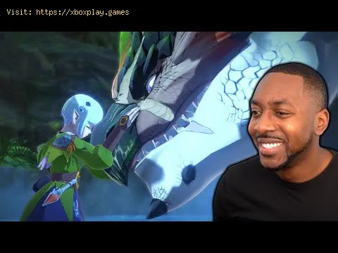 Video preview