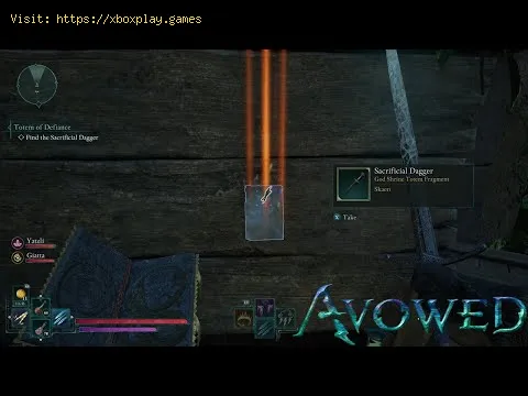 Video preview