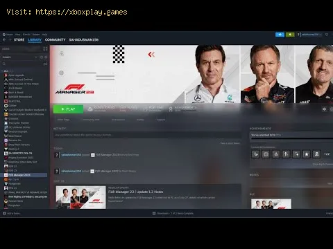 Video preview
