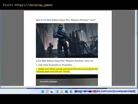 Video preview