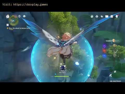 Video preview