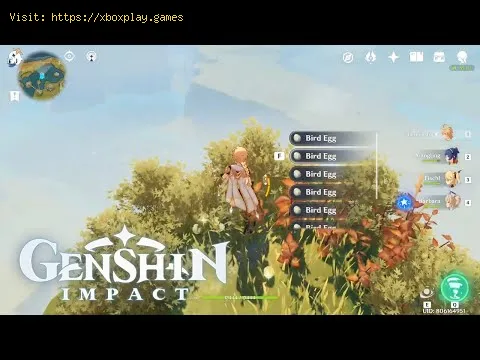 Video preview