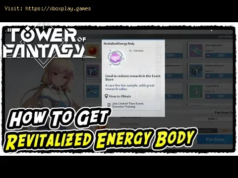 Video preview