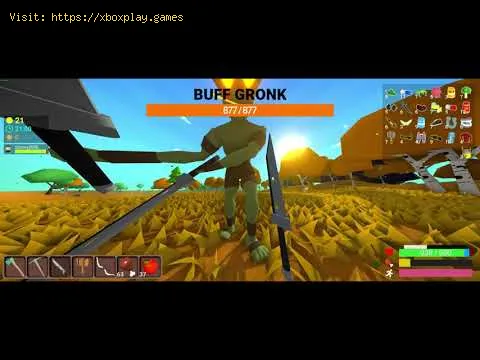 Video preview