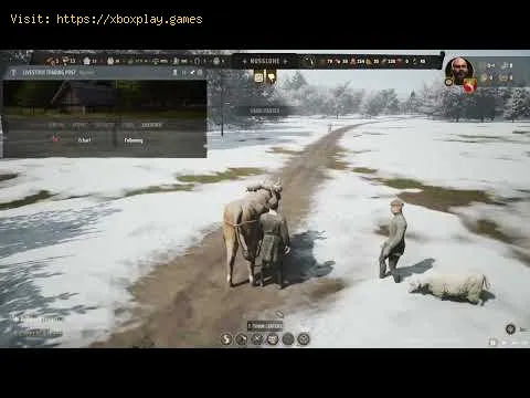 Video preview
