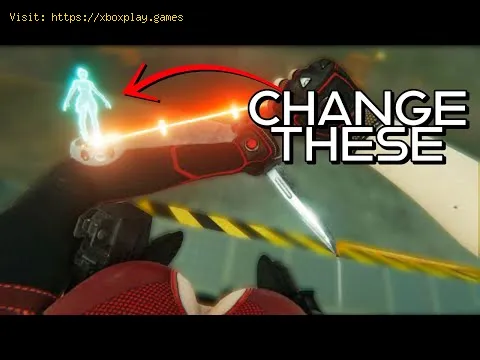 Video preview