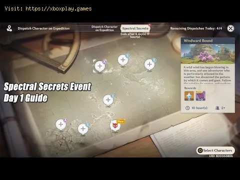 Video preview