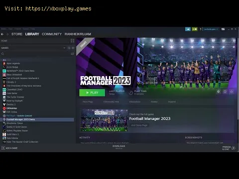 Video preview