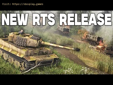 Video preview