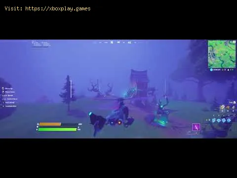 Video preview