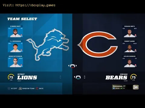 Video preview