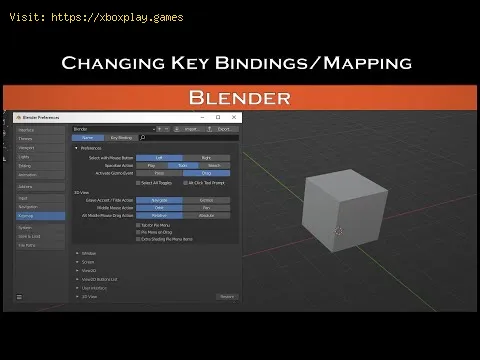 Video preview