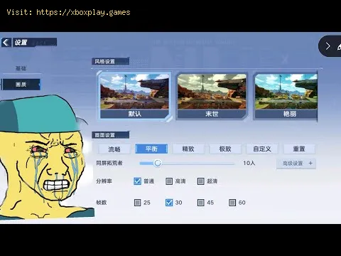 Video preview