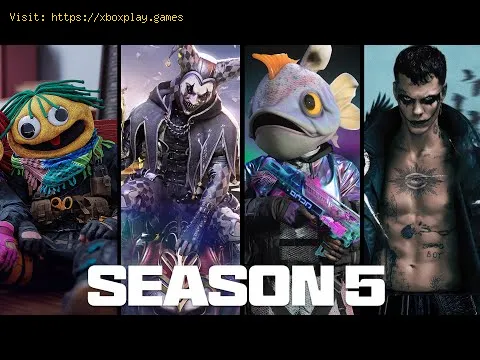 Video preview