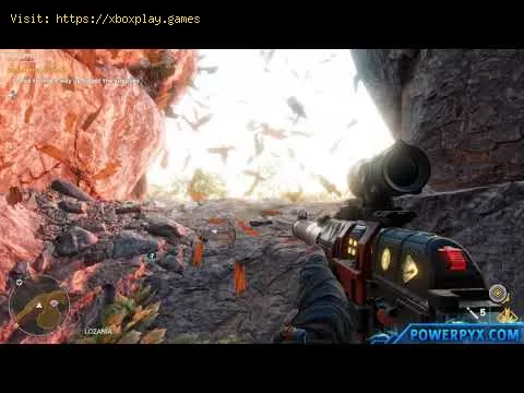Video preview