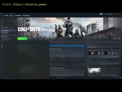 Video preview