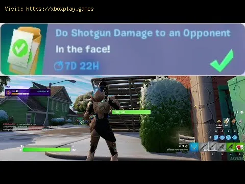 Video preview