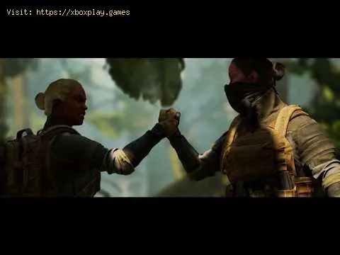 Video preview