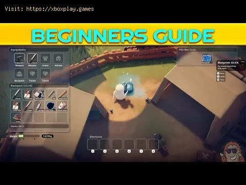 Video preview