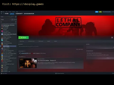 Video preview