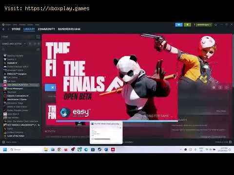 Video preview
