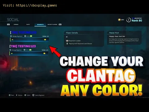 Video preview