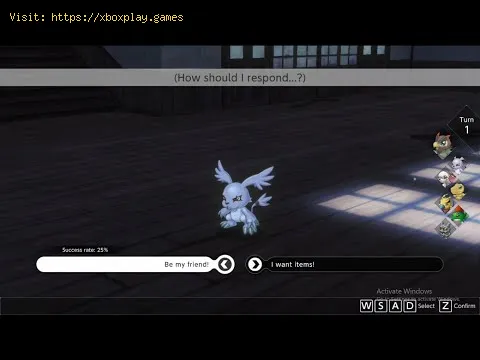 Video preview