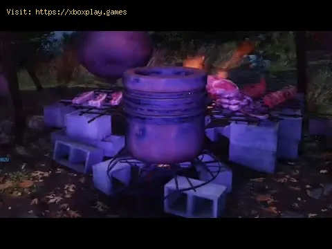 Video preview