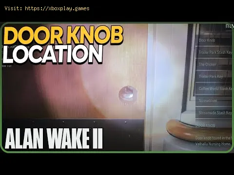 Video preview