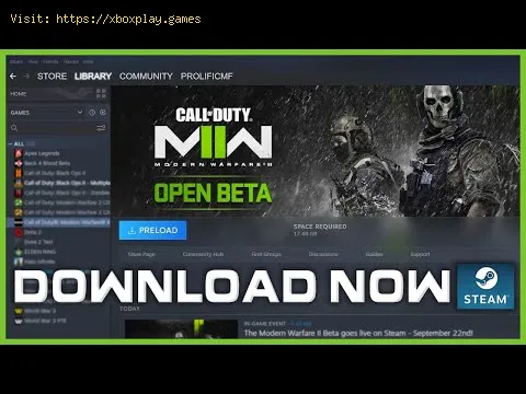 Video preview