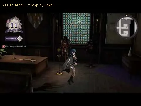 Video preview