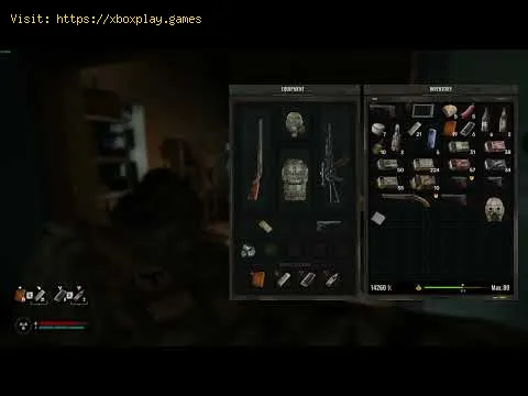 Video preview