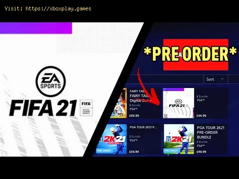 Video preview