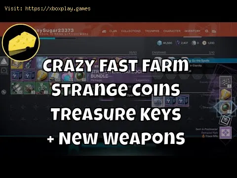 Video preview