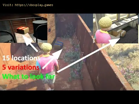 Video preview