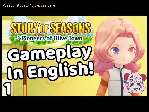 Video preview