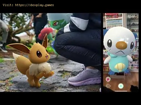 Video preview
