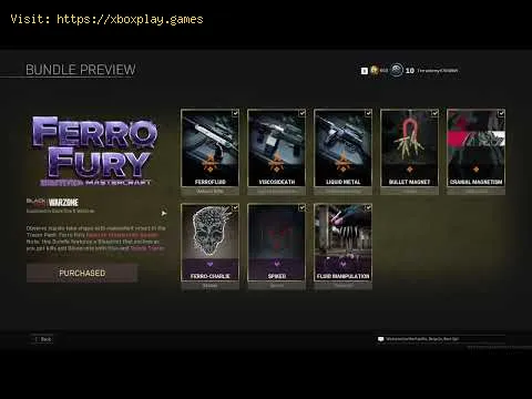 Video preview