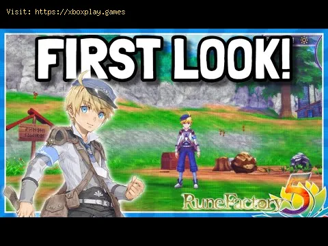 Video preview