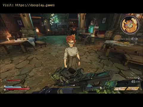 Video preview