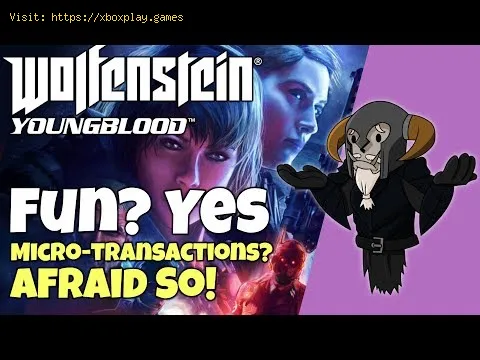 Video preview