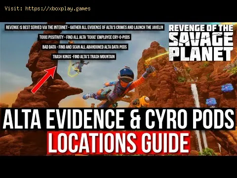 Video preview