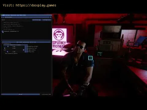 Video preview