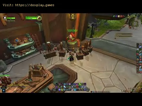 Video preview