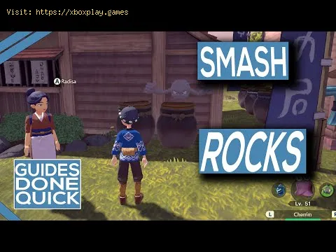 Video preview