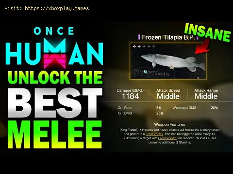 Video preview