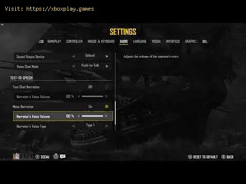 Video preview