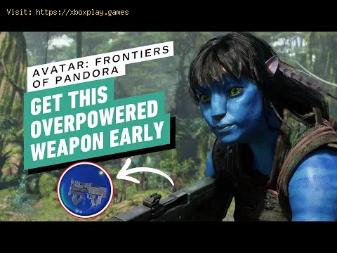 Video preview